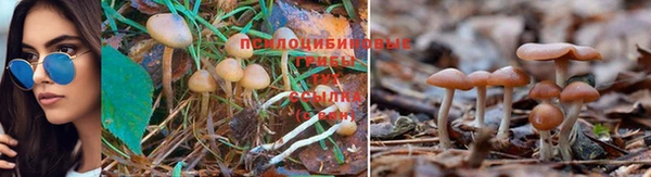 мяу мяу кристалл Елабуга