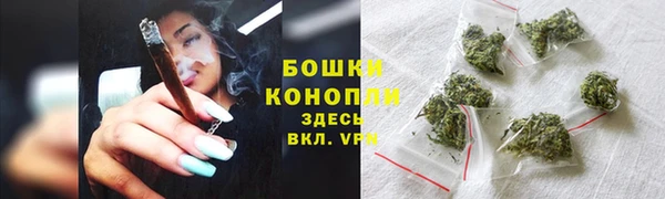 прущий лед Ельня
