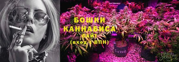 ГАЛЛЮЦИНОГЕННЫЕ ГРИБЫ Елизово