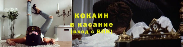 ГАЛЛЮЦИНОГЕННЫЕ ГРИБЫ Елизово