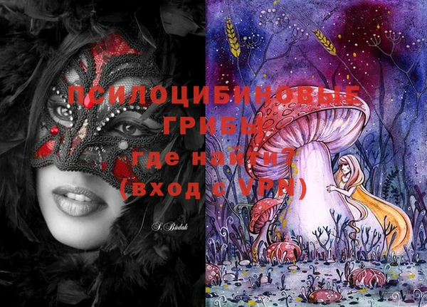 прущий лед Ельня